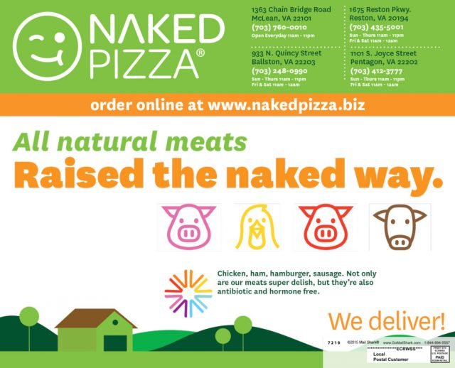 Naked Pizza Postcard