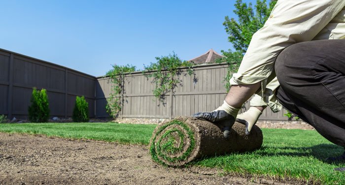 Landscape unrolling grass