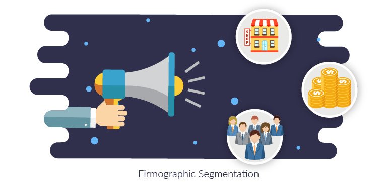 firmographic segmentation