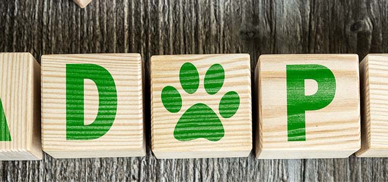 adopt spelled out in blocks