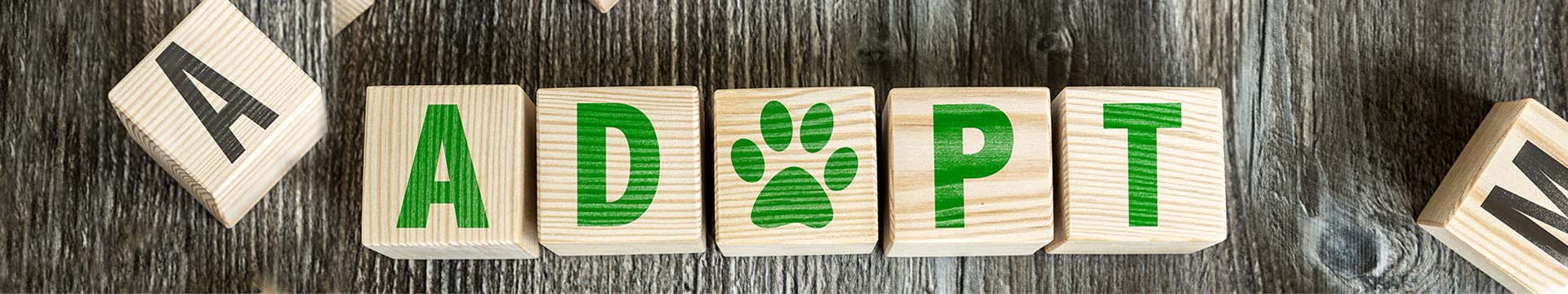 adopt spelled out in blocks
