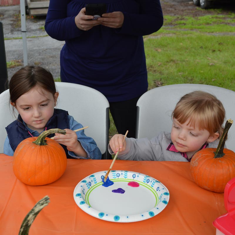 ARL Free Adoption Day pumpkin painting