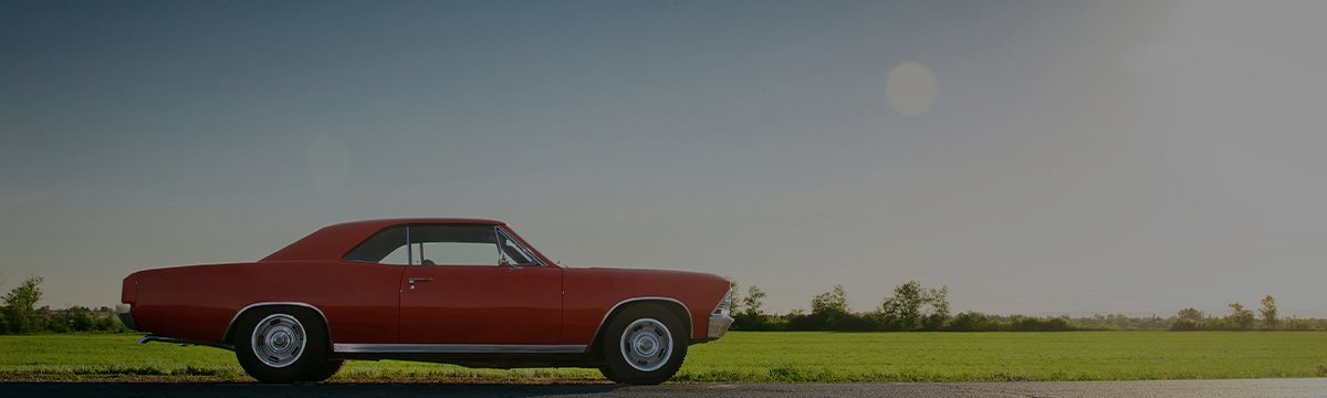 Car in field