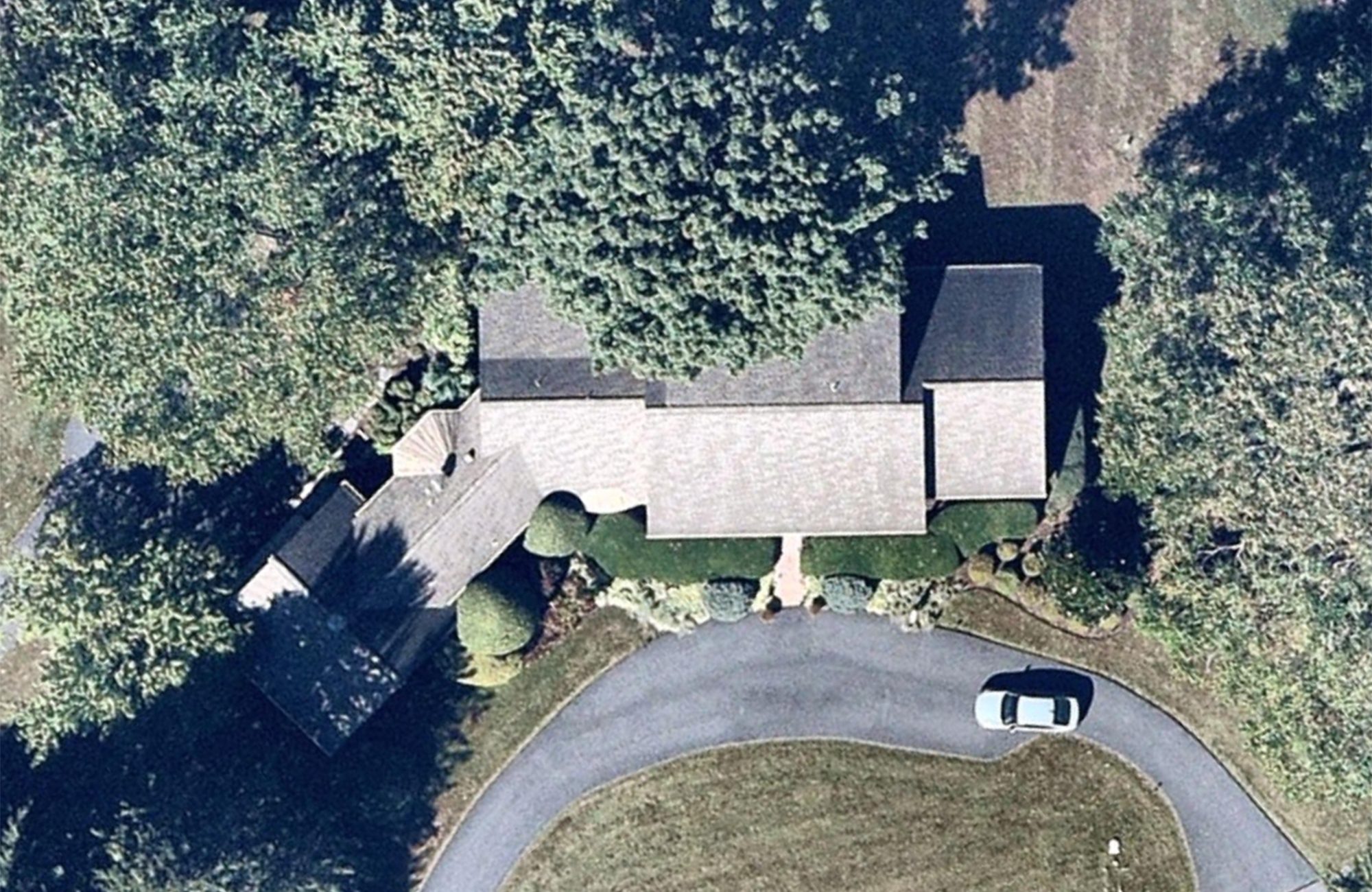 Rooftop Aerial Photo - Tree Overhang