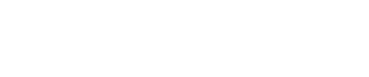 Successware Logo